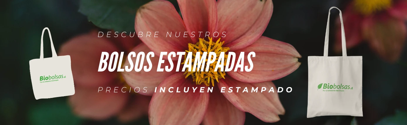 Descubre nuestros bolsos estampados