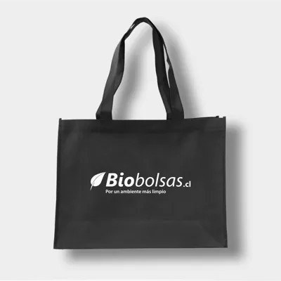 BOLSA 40X30X12